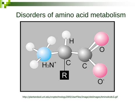 Pdf Disorders Of Amino Acid Metabolism Disorders Of Aa Metabolism Pdf