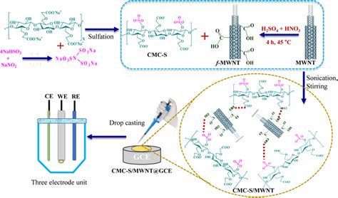 Schematic Representation Of Cmc S And F Mwnt Based Cmc S Mwnt