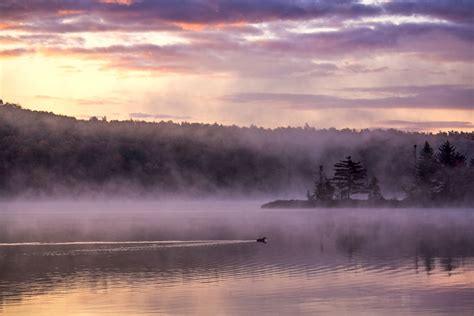 Cool Mist | Photos of Vermont