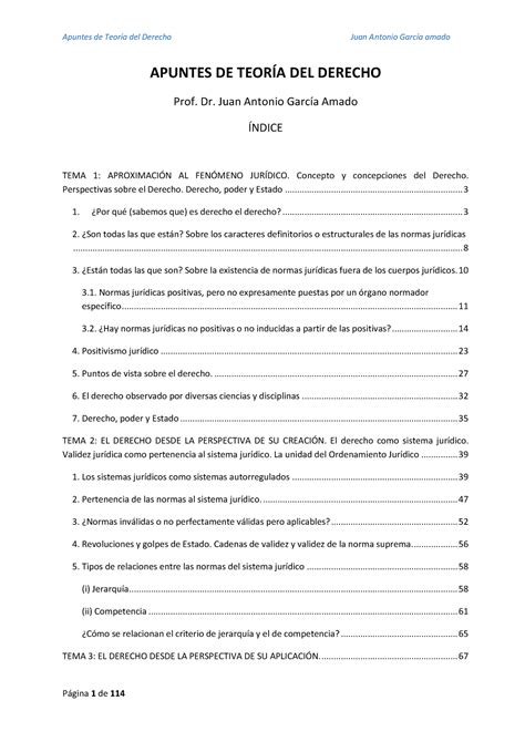 Apuntes De TeorÍa Del Derecho Del Prof Juan Antonio GarcÍa Amado