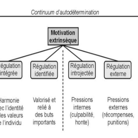 Le Continuum De L Autod Termination Deci Et Rayan Source Open