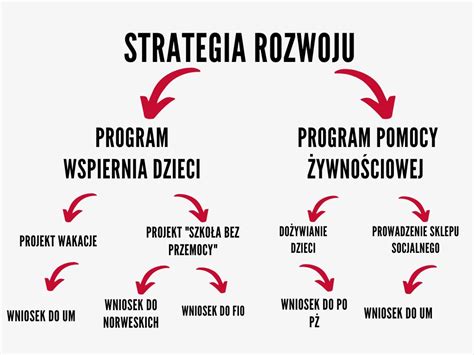 Strategia Rozwoju Organizacji Od Czego Zacz Ngo Stacja