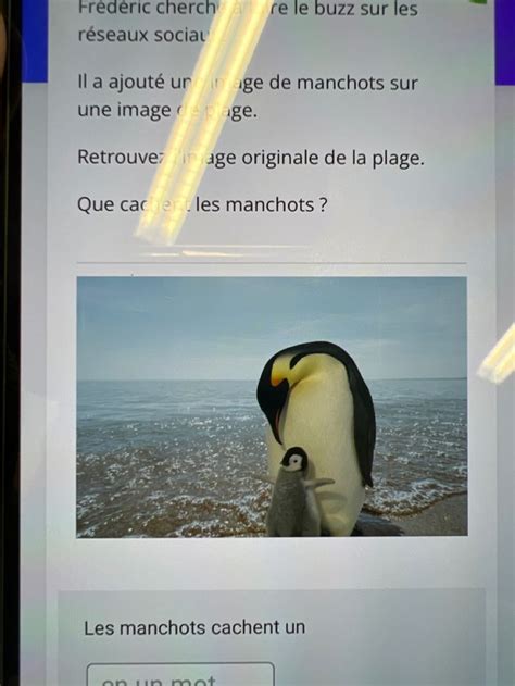 An Image Of A Penguin On A Cell Phone With The Caption S In French