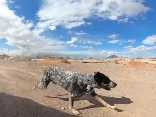 A Day In The Life Of A Pornstar Porn Vlog Fucking In Las Vegas Xxx Mobile Porno Videos