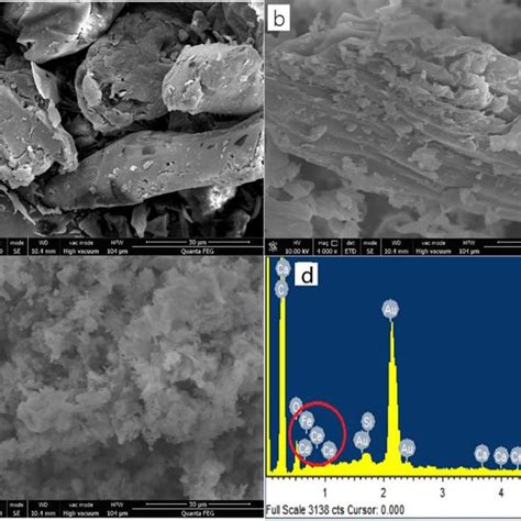 Scanning electron microscopy (SEM) images of materials. a PSB, b BC, c ...