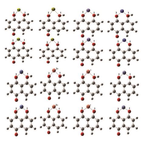 Gas Phase Optimized Geometries Of The Chelates Obtained At