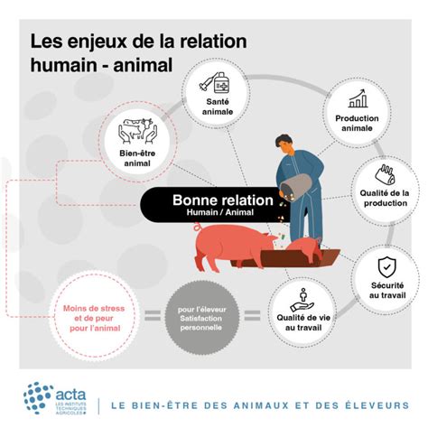 Le bien être des animaux et des éleveurs un enjeu clé pour lavenir de