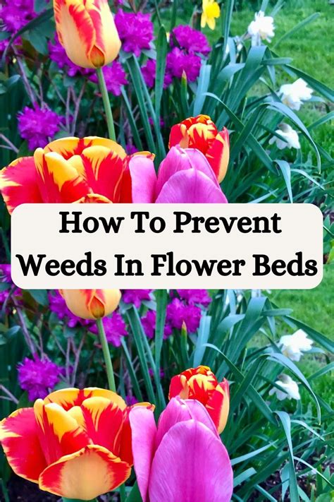 How To Keep Weeds Out Of Flower Beds Naturally Artofit