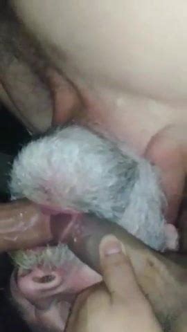 Free Pig Gangbang Gay Porn Videos Xhamster