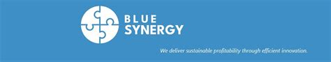 Blue Synergy's Vision 2025 | Blue Synergy SL