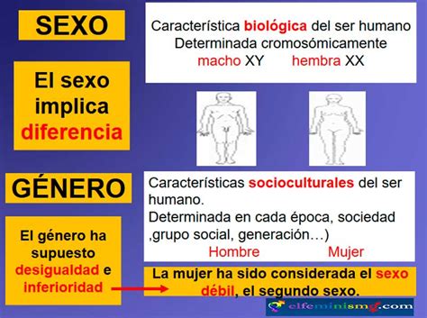 La Diferencia Entre Sexo Y Género Para El Feminismo