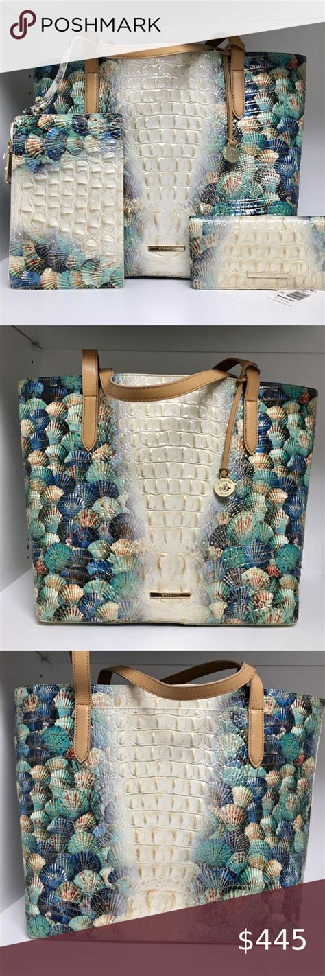 Brahmin Brooke And Ady In Seashell Clairview Sea Shells White