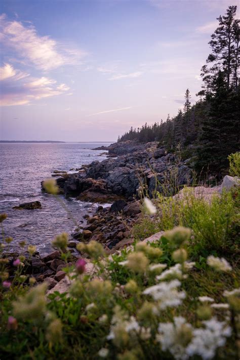 Acadia National Park On Mount Desert Island In Maine Usa Mount