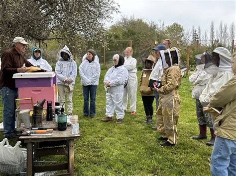 2024 Apiary Visit Quilcene Ejbees East Jefferson Bee Club