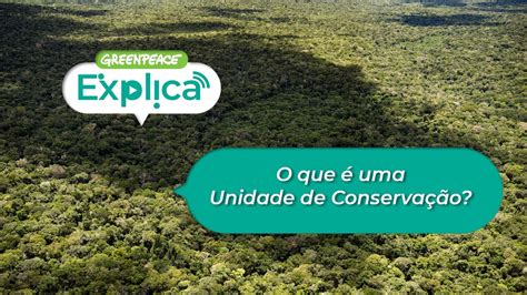 O que é uma Unidade de Conservação? - Greenpeace Explica - YouTube