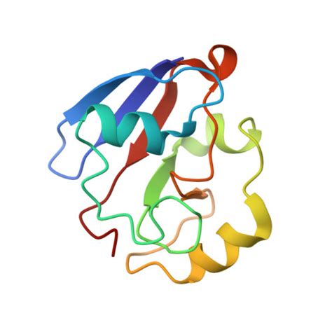 RCSB PDB 1YJJ RDC Refined Solution NMR Structure Of Oxidized