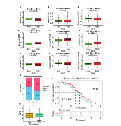 Drug Susceptibility Analysis Of Common Targeted Drugs And Validation Of