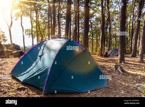 Nature Experience Trekking (Palatinate Forest, Germany Stock Photo - Alamy