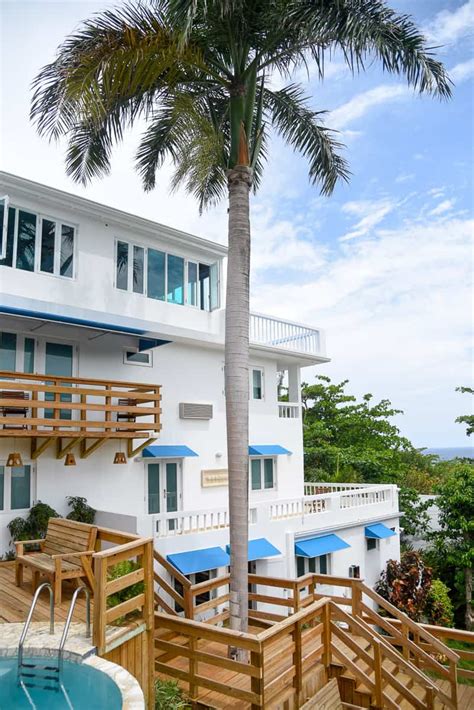 Serenity Rincón Hotel / Rincón, Puerto Rico - Lush Palm