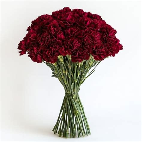 Amazon Globalrose Stems Of Fresh Cut Assorted Colors Spray