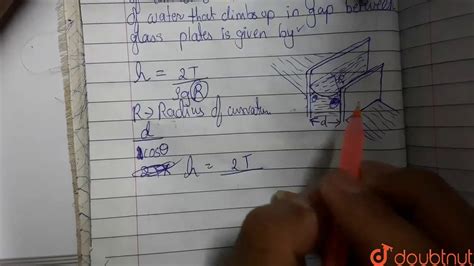 Two Parallel Glass Plates Are Held Vertically At A Small Separation D