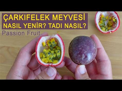 Çarkıfelek meyvesi nedir Nasıl yenir Passiflora fruit YouTube