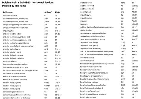 Atlas of the Brain of a Dolphin — Comparative Brain Anatomy