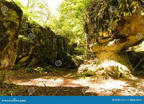 Arco Natural De Pedra Floresta De Outono Musgo Verde E Pedras