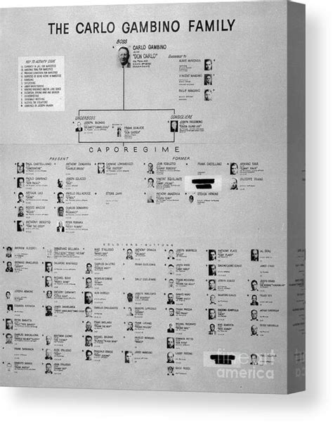 Chart Of Gambino Crime Family Canvas Print / Canvas Art by Bettmann ...