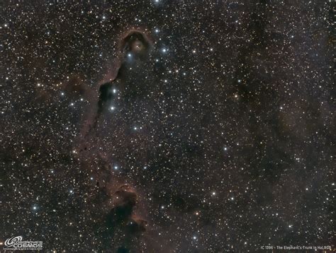 IC 1396 The Elephants Trunk In LRGB Cosgrove S Cosmos