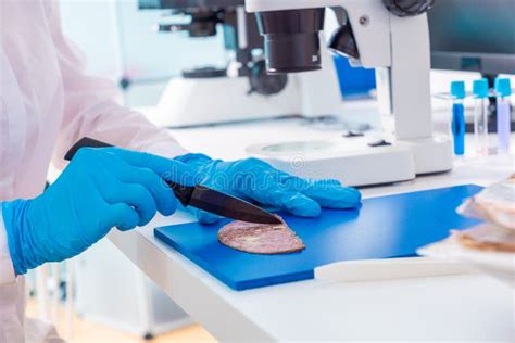 Inspección De La Calidad De La Carne Y Del Pescado En El Laboratorio De