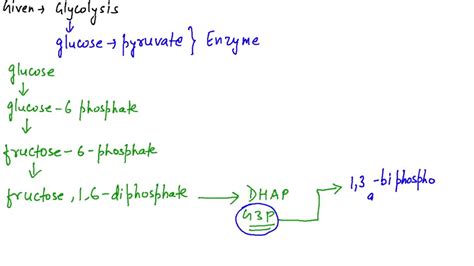 Solved Glycerol Can Be Converted Into Glucose By Conversion Into