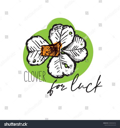 Clover Leaf Sketch Vector Black White Stock Vector (Royalty Free ...