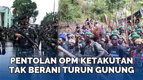 Pentolan Opm Dan Gerombolan Tak Berani Turun Gunung Ketakutan Lihat