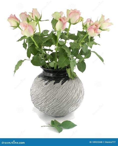 Pink Roses In A Vase Stock Photo Image Of Bright Background 18923348