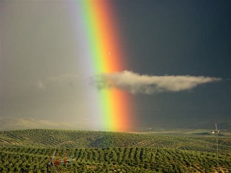 Wallpaper : Iris, en, espana, rain, regenboog, arcoiris, rainbow, andalucia, Spain, espanha, day ...