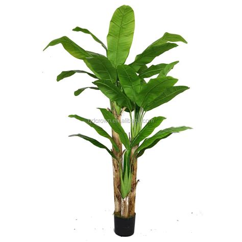 Wholesale Indoor Decoration Banana Palm Tree With Real Touch Leaves ...