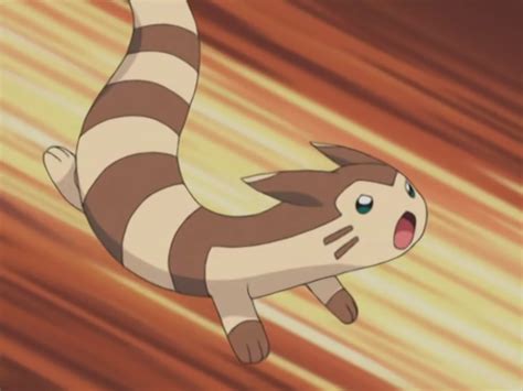 Furret Is 6 Foot Long 10 Pokémon You Didnt Realize Were Huge