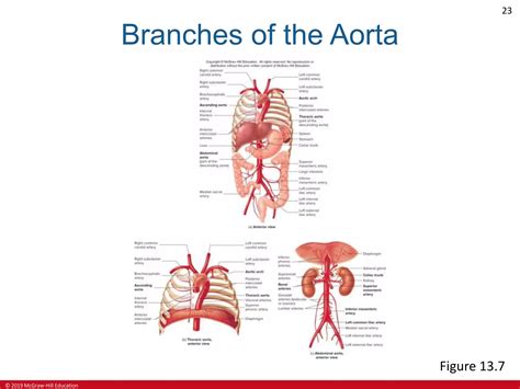 Ch13 Lecture Ppt A PPT