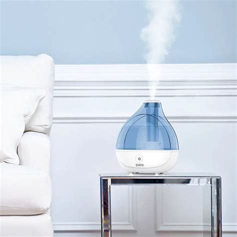 Best Cool Mist Humidifier – 2022 Complete Guide and Reviews