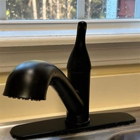 Project Source Dover Matte Black Single Handle Pull Out Kitchen Faucet