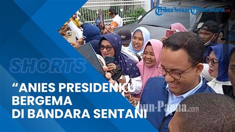 Anies Presidenku Bergema Di Bandara Sentani Kedatangan Anies