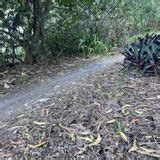 Quiet Waters Mountain Bike Trail Florida 430 Reviews Map AllTrails