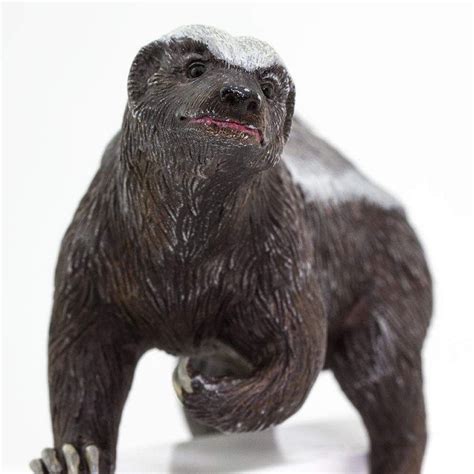 Honey Badger Toy | Wildlife Animal Toys | Safari Ltd®