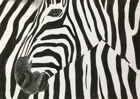 Zebra Camouflage Drawing by Andrea Stein | Saatchi Art