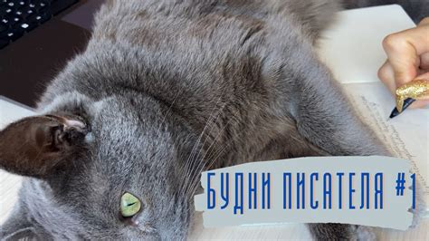 БУДНИ ПИСАТЕЛЯ #1 I Пишу книгу, болтаю, показываю новые блокноты - YouTube