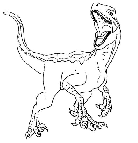 Desenhos Do Velociraptor Para Imprimir E Colorir Pintar