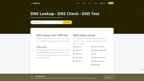 Dns Check Dns Test Dns Lookup With Livewatch