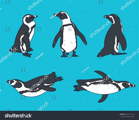 Cute African Penguin Realistic Drawing Hand Stock Vector (Royalty Free ...