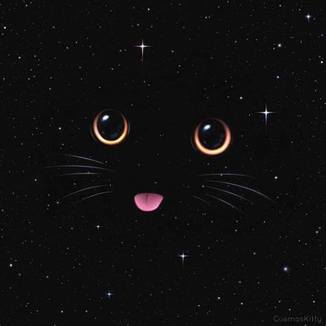 200+ Wallpaper Aesthetic Black Cat Picture - MyWeb